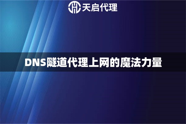 DNS隧道代理上網(wǎng)的魔法力量