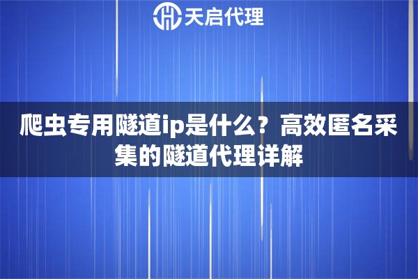 爬蟲(chóng)專用隧道ip是什么？高效匿名采集的隧道代理詳解