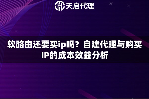 軟路由還要買(mǎi)ip嗎？自建代理與購(gòu)買(mǎi)IP的成本效益分析