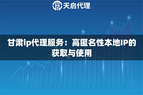 甘肅ip代理服務(wù)：高匿名性本地IP的獲取與使用