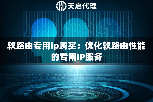 軟路由專用ip購(gòu)買：優(yōu)化軟路由性能的專用IP服務(wù)