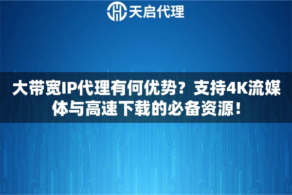 大帶寬IP代理有何優(yōu)勢(shì)？支持4K流媒體與高速下載的必備資源！