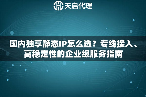 國(guó)內(nèi)獨(dú)享靜態(tài)IP怎么選？專線接入、高穩(wěn)定性的企業(yè)級(jí)服務(wù)指南