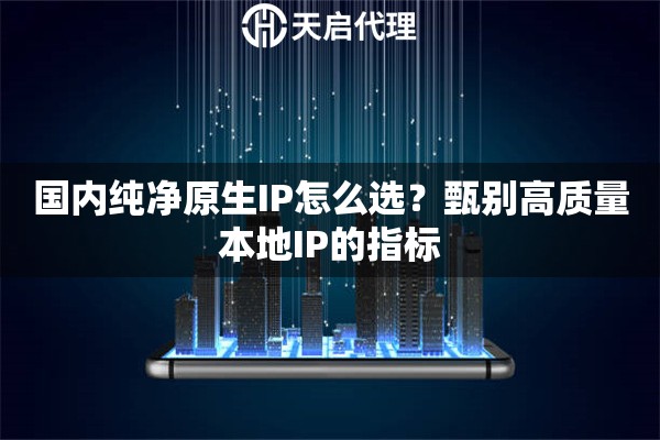 國內(nèi)純凈原生IP怎么選？甄別高質(zhì)量本地IP的指標