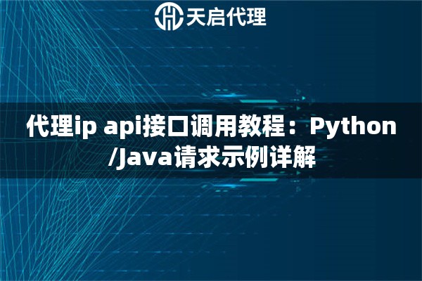 代理ip api接口調(diào)用教程：Python/Java請(qǐng)求示例詳解