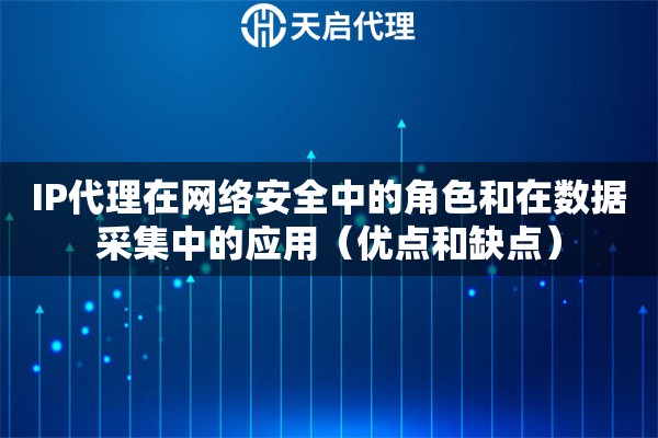 IP代理在網(wǎng)絡(luò)安全中的角色和在數(shù)據(jù)采集中的應(yīng)用（優(yōu)點(diǎn)和缺點(diǎn)）