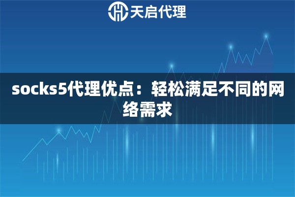 socks5代理優(yōu)點(diǎn)：輕松滿足不同的網(wǎng)絡(luò)需求