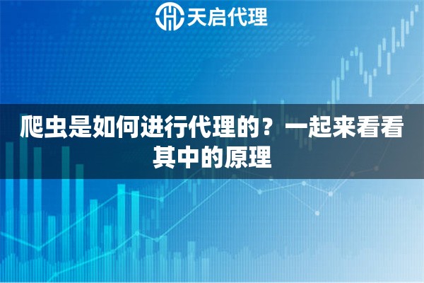 爬蟲是如何進(jìn)行代理的？一起來看看其中的原理