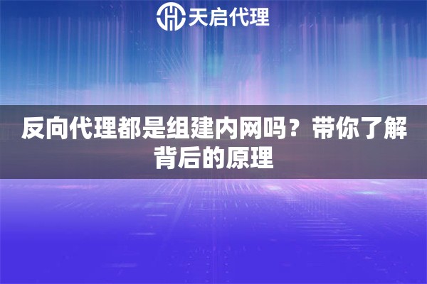 反向代理都是組建內(nèi)網(wǎng)嗎？帶你了解背后的原理