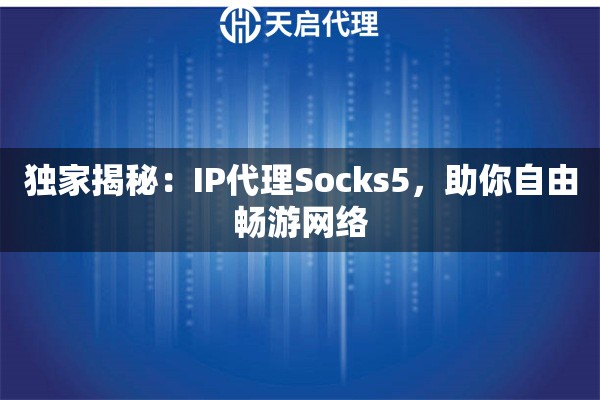 獨(dú)家揭秘：IP代理Socks5，助你自由暢游網(wǎng)絡(luò)