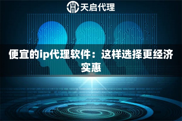 便宜的ip代理軟件：這樣選擇更經(jīng)濟實惠
