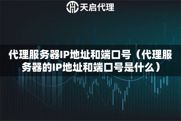 代理服務(wù)器IP地址和端口號(hào)（代理服務(wù)器的IP地址和端口號(hào)是什么）