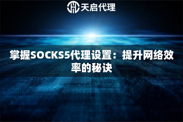 掌握SOCKS5代理設(shè)置：提升網(wǎng)絡(luò)效率的秘訣