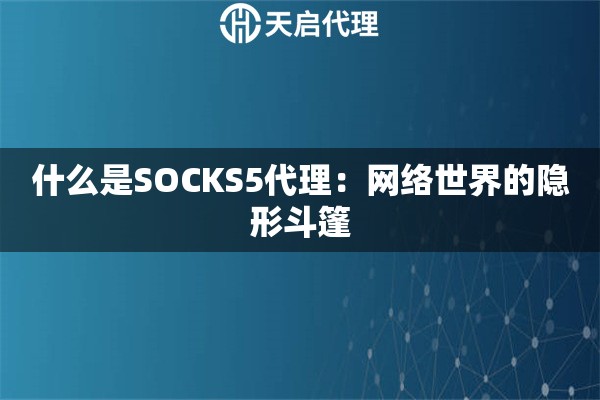 什么是SOCKS5代理：網(wǎng)絡(luò)世界的隱形斗篷