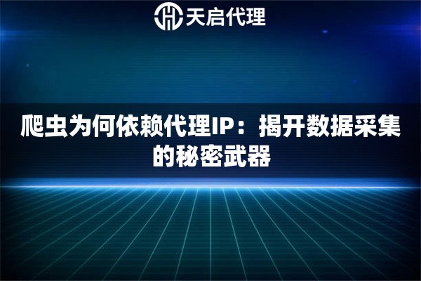 爬蟲為何依賴代理IP：揭開數(shù)據(jù)采集的秘密武器