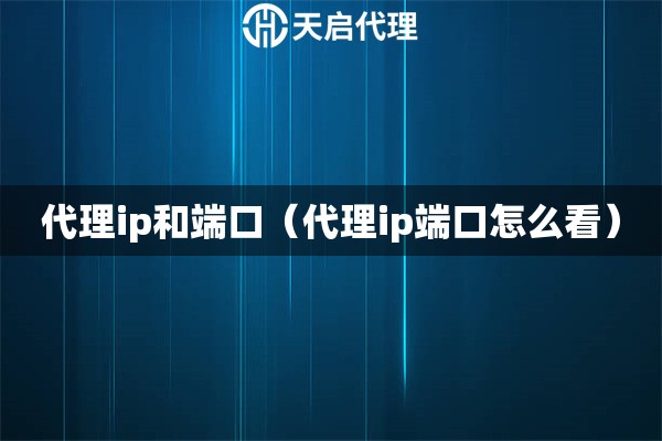 代理ip和端口（代理ip端口怎么看）