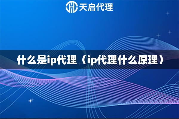 什么是ip代理（ip代理什么原理）