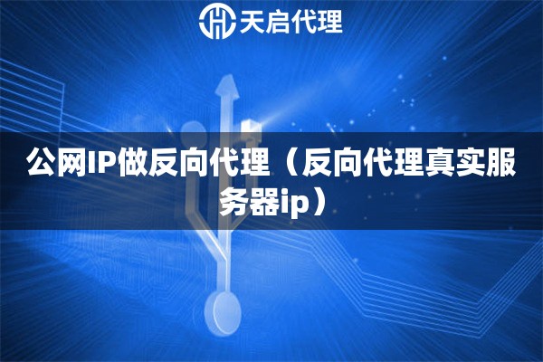 公網(wǎng)IP做反向代理（反向代理真實(shí)服務(wù)器ip）
