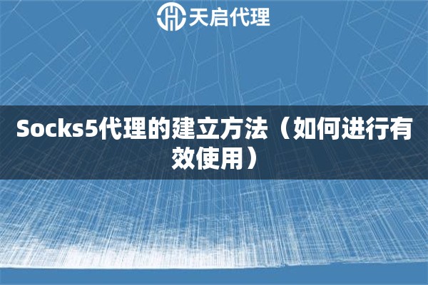 Socks5代理的建立方法（如何進(jìn)行有效使用）